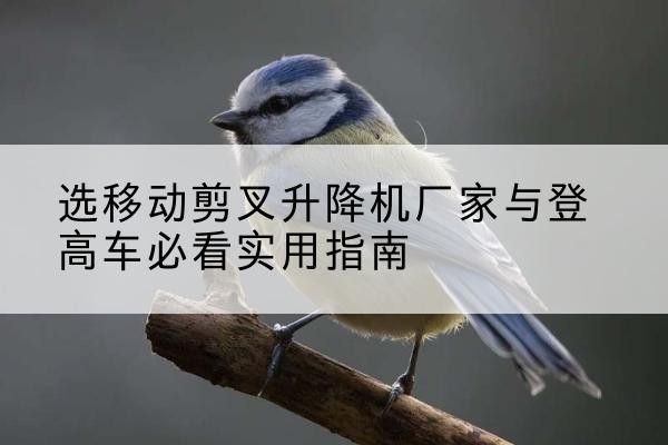 弓长岭电动升降机厂家-选移动剪叉升降机厂家与登高车必看实用指南