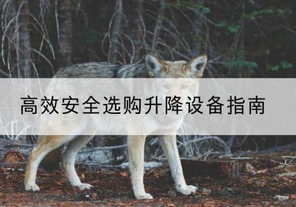 弓长岭升降货梯厂家推荐-*安全选购升降设备指南
